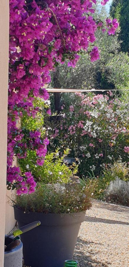 La Bastide Aux Oliviers Hotel Tourrettes-sur-Loup Exterior photo